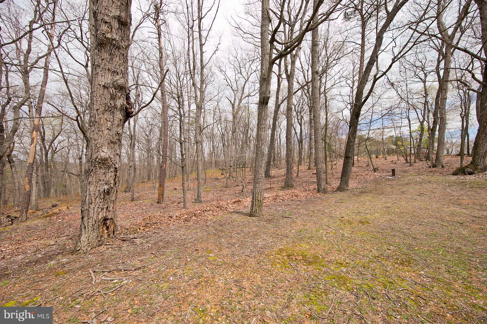 222 Collinsville Road Cross Junction, VA 22625 - Photo 44 of 46