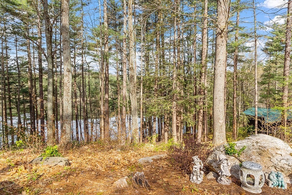 149 Walker Pond Road Sturbridge, MA 01566 - Photo 34 of 42 a view of back yard of the building