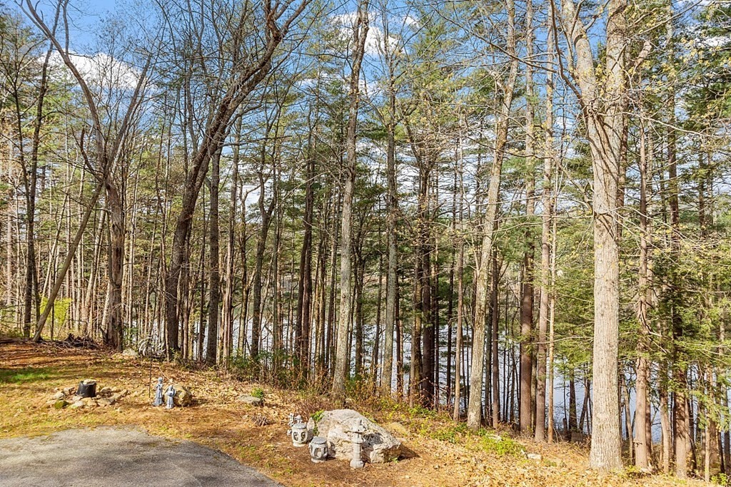 149 Walker Pond Road Sturbridge, MA 01566 - Photo 35 of 42 a view of a pathway of a house with trees