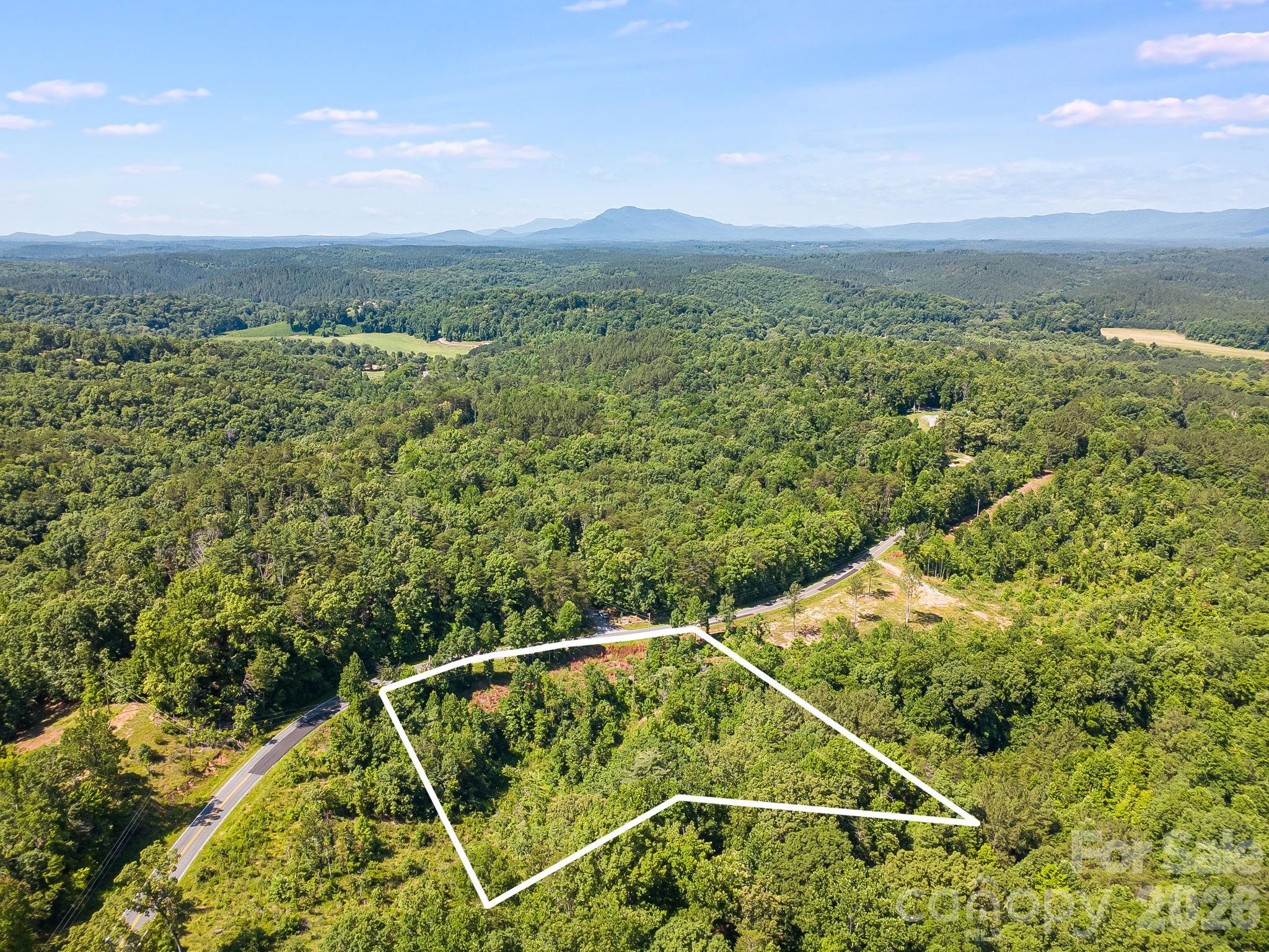 Lot #2 Clark Road Rutherfordton, NC 28139 - Photo 5 of 36