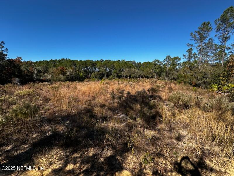 220 Como Circle Interlachen, FL 32148 - Photo 2 of 8 a view of lake with green space