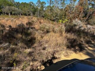 220 Como Circle Interlachen, FL 32148 - Photo 4 of 8 a view of a lot of trees