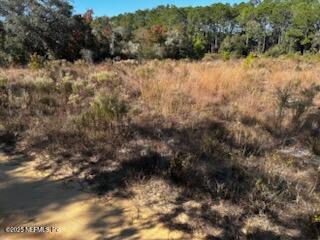 220 Como Circle Interlachen, FL 32148 - Photo 5 of 8 a view of a yard