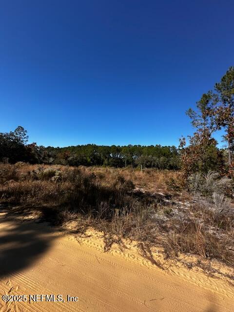 220 Como Circle Interlachen, FL 32148 - Photo 6 of 8 a view of lake with green space