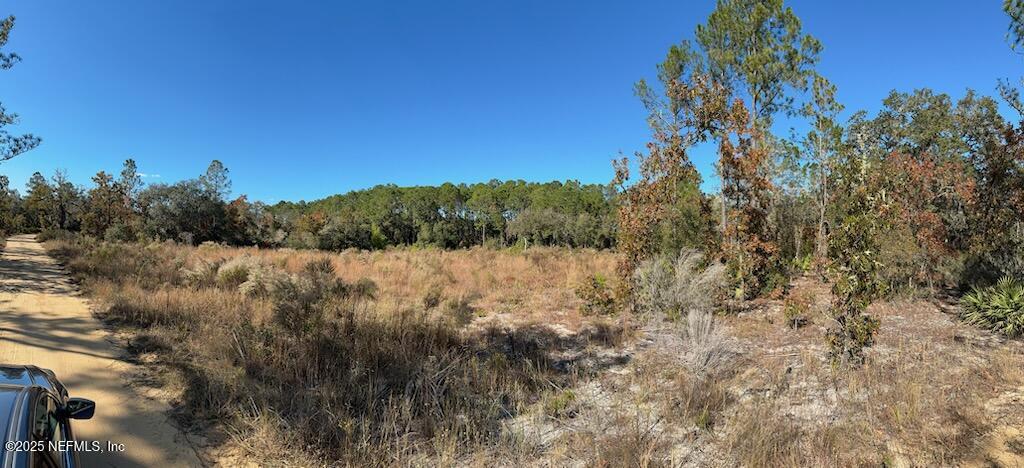 220 Como Circle Interlachen, FL 32148 - Photo 7 of 8 a view of mountain with trees in background
