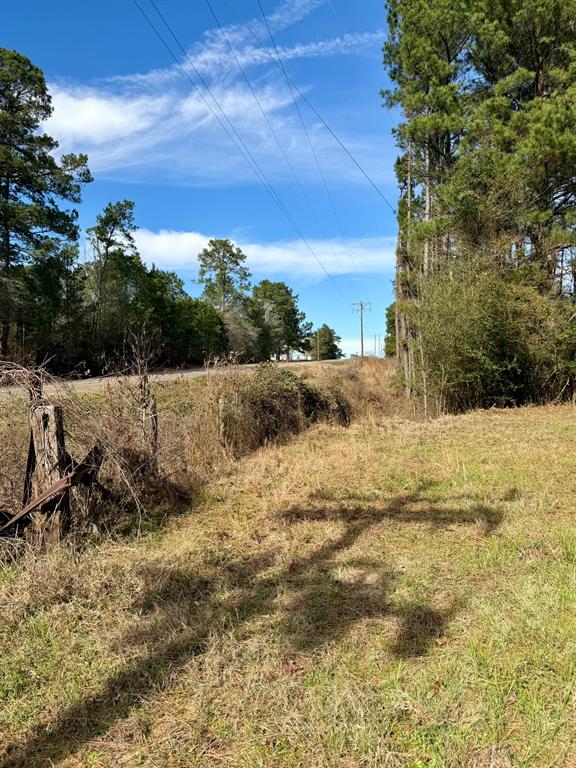507 Highway 507 Coushatta, LA 71019 - Photo 12 of 13 a view of a yard with trees