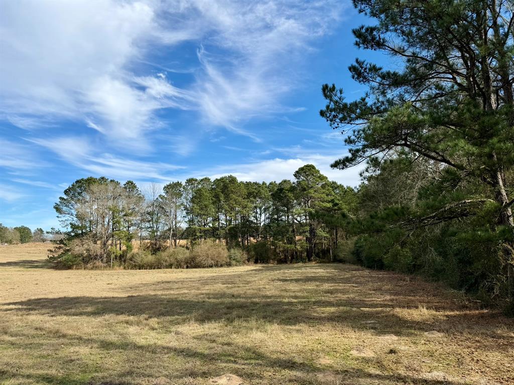 507 Highway 507 Coushatta, LA 71019 - Photo 4 of 13 a view of a yard with an ocean