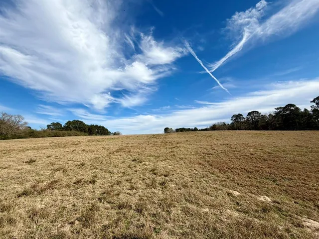 a view of yard with swimming pool and trees