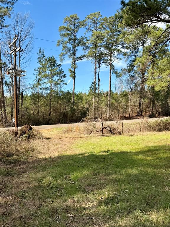 507 Highway 507 Coushatta, LA 71019 - Photo 8 of 13 a view of yard with swimming pool and trees