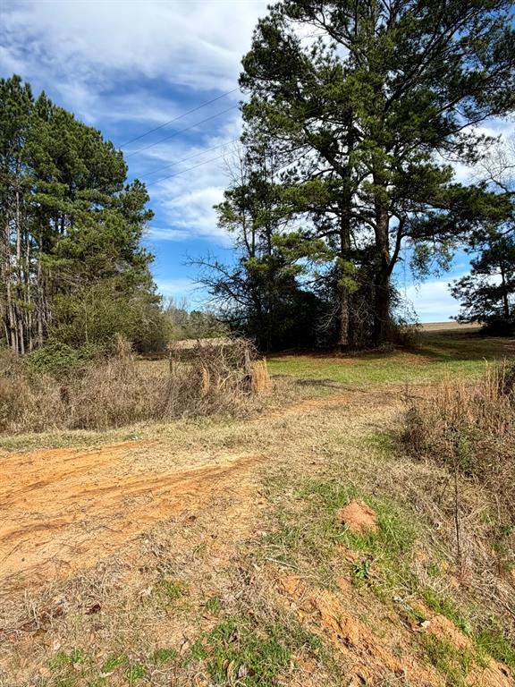 507 Highway 507 Coushatta, LA 71019 - Photo 9 of 13 a view of yard with swimming pool and green space