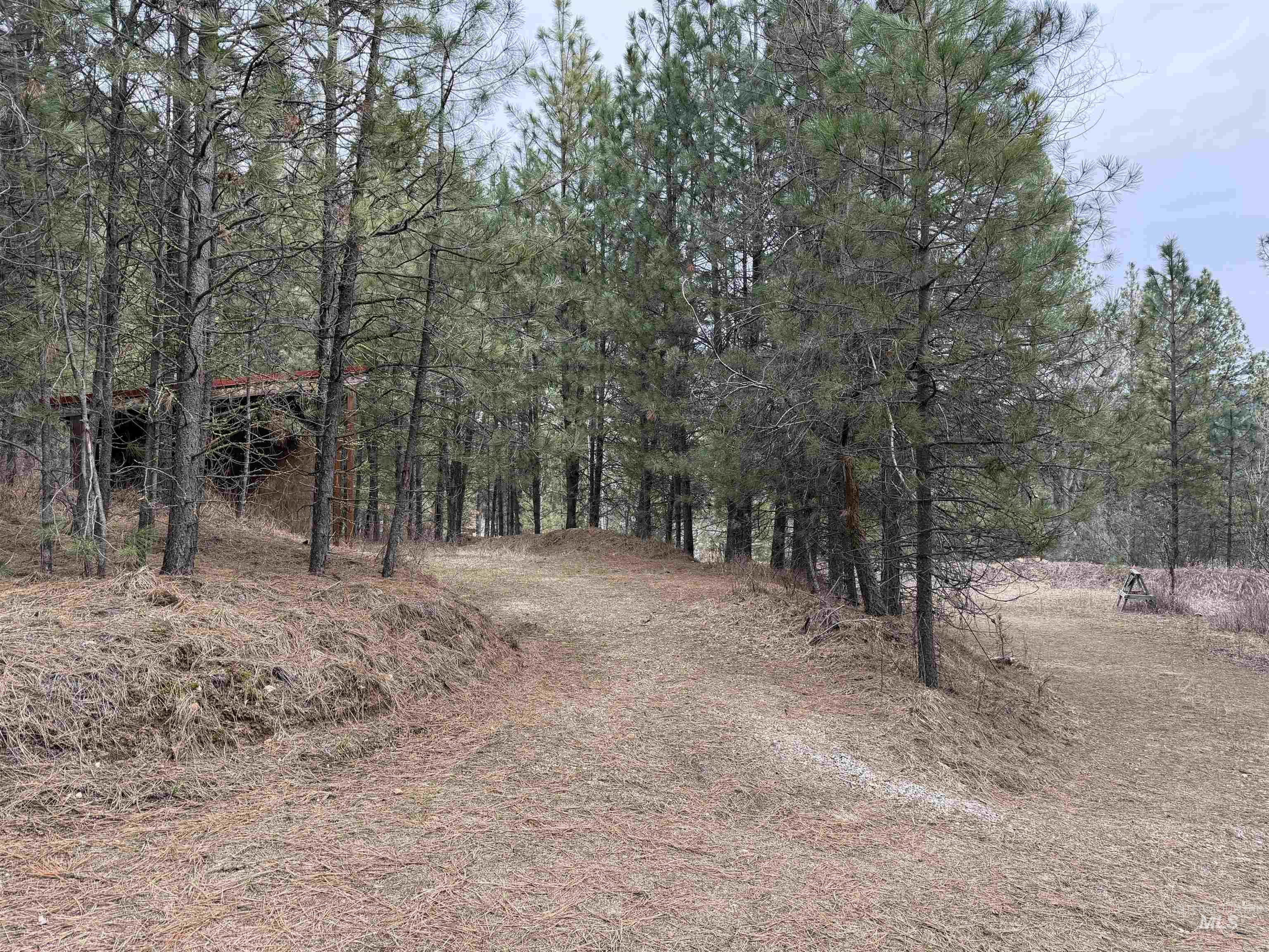 Parcel B South Middlefork Road Garden Valley, ID 83622 - Photo 7 of 12 View of street