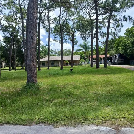 a view of a park with large trees