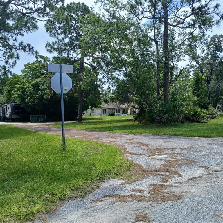 Lyle Circle Hudson, FL 34667 - Photo 4 of 6