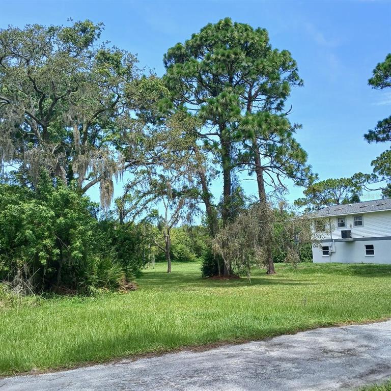 Lyle Circle Hudson, FL 34667 - Photo 6 of 6 a view of a house with a backyard