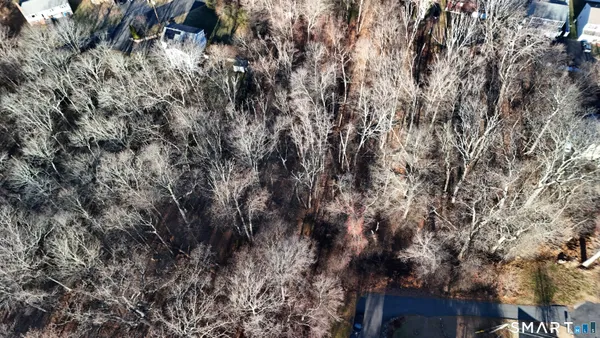 a view of a tree