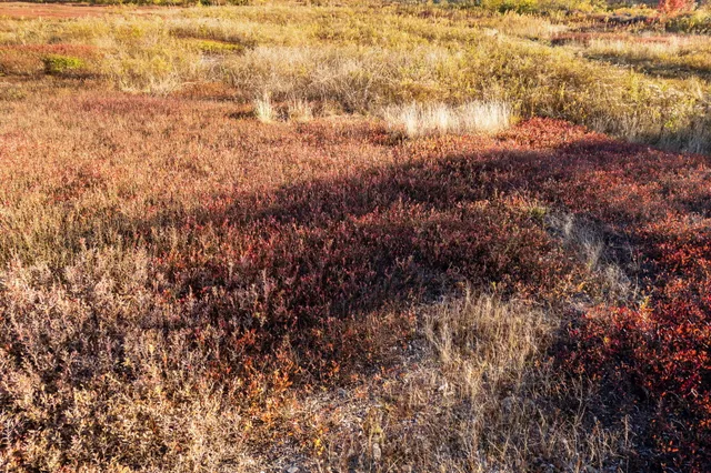 $129,000 | Lot #15 Razorville Road, Washington, ME 04574