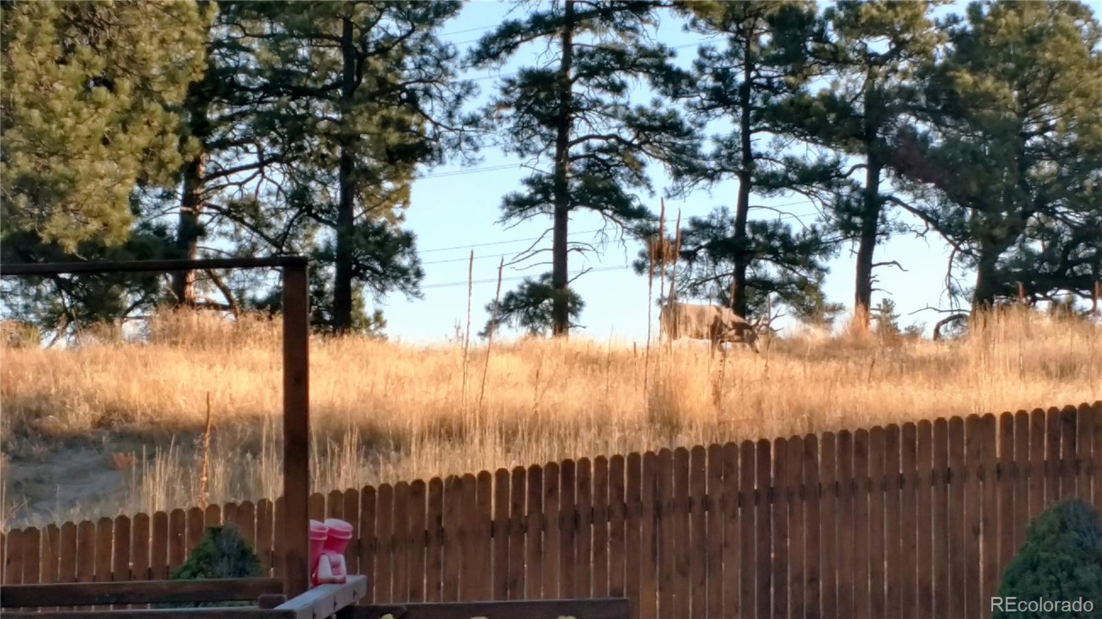 11036 Callaway Road Parker, CO 80138 - Photo 28 of 28 Gallery Image 28