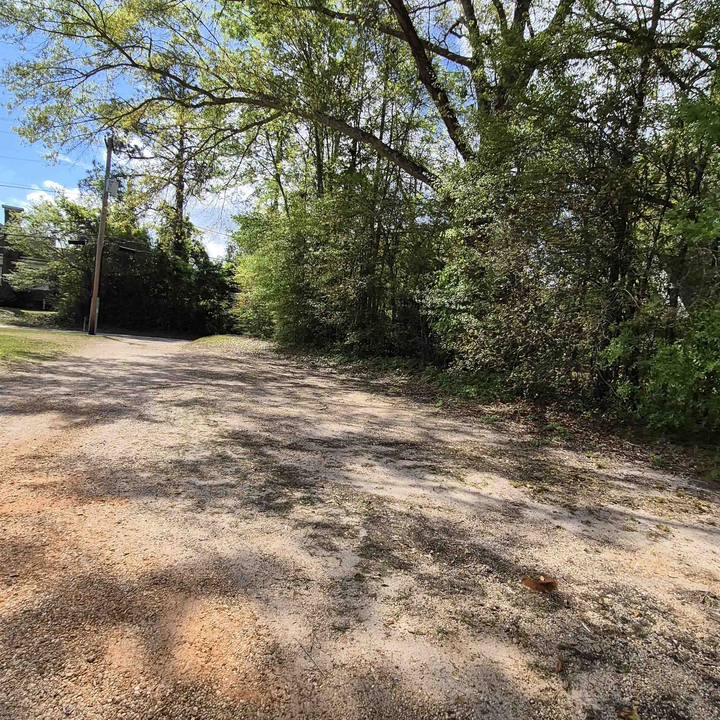 305 Rural Street Evergreen, AL 36401 - Photo 29 of 32 Community