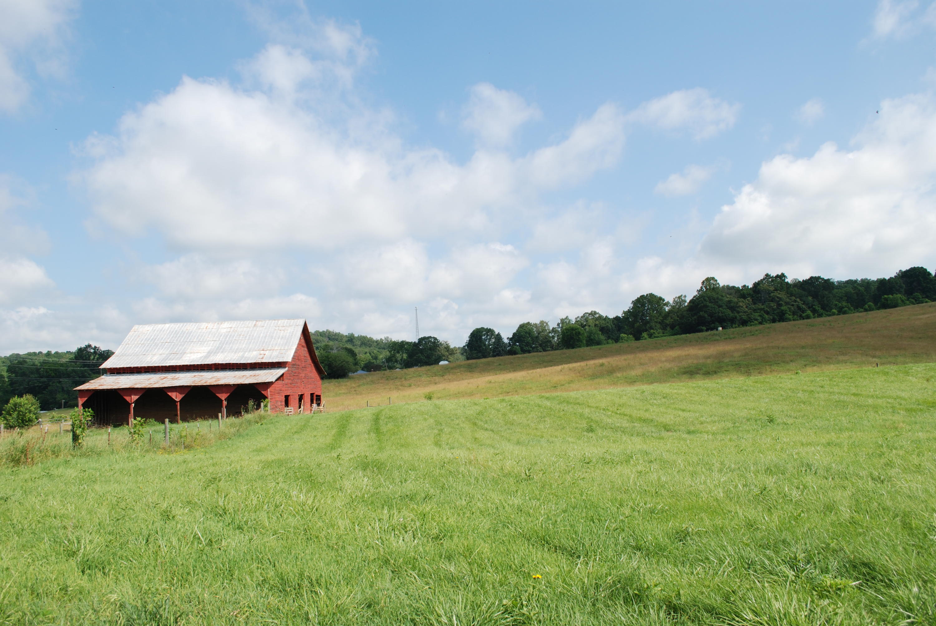 Roach Road Rutledge, TN 37861 - Photo 1 of 18 DSC_0043