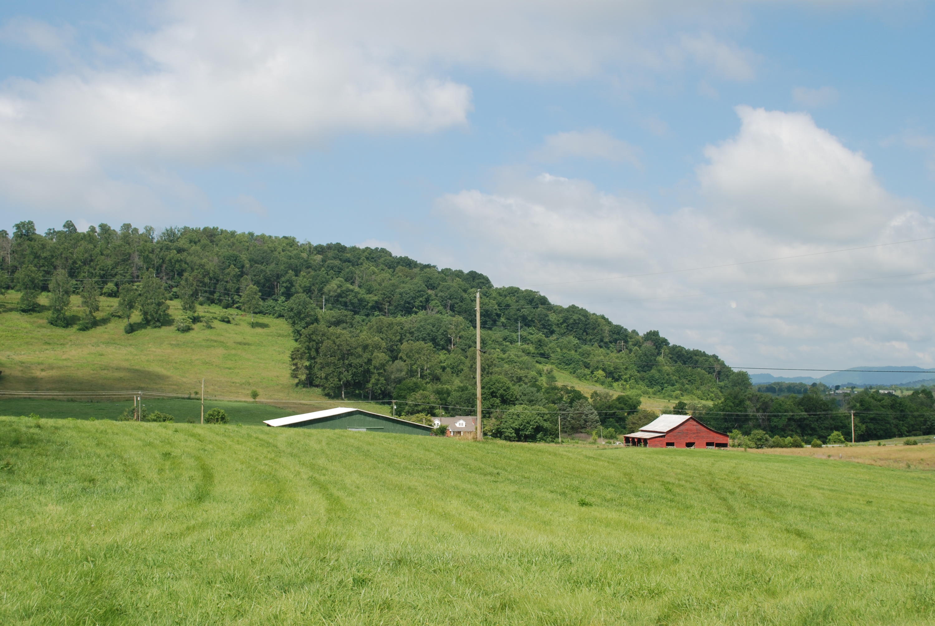 Roach Road Rutledge, TN 37861 - Photo 2 of 18 DSC_0052