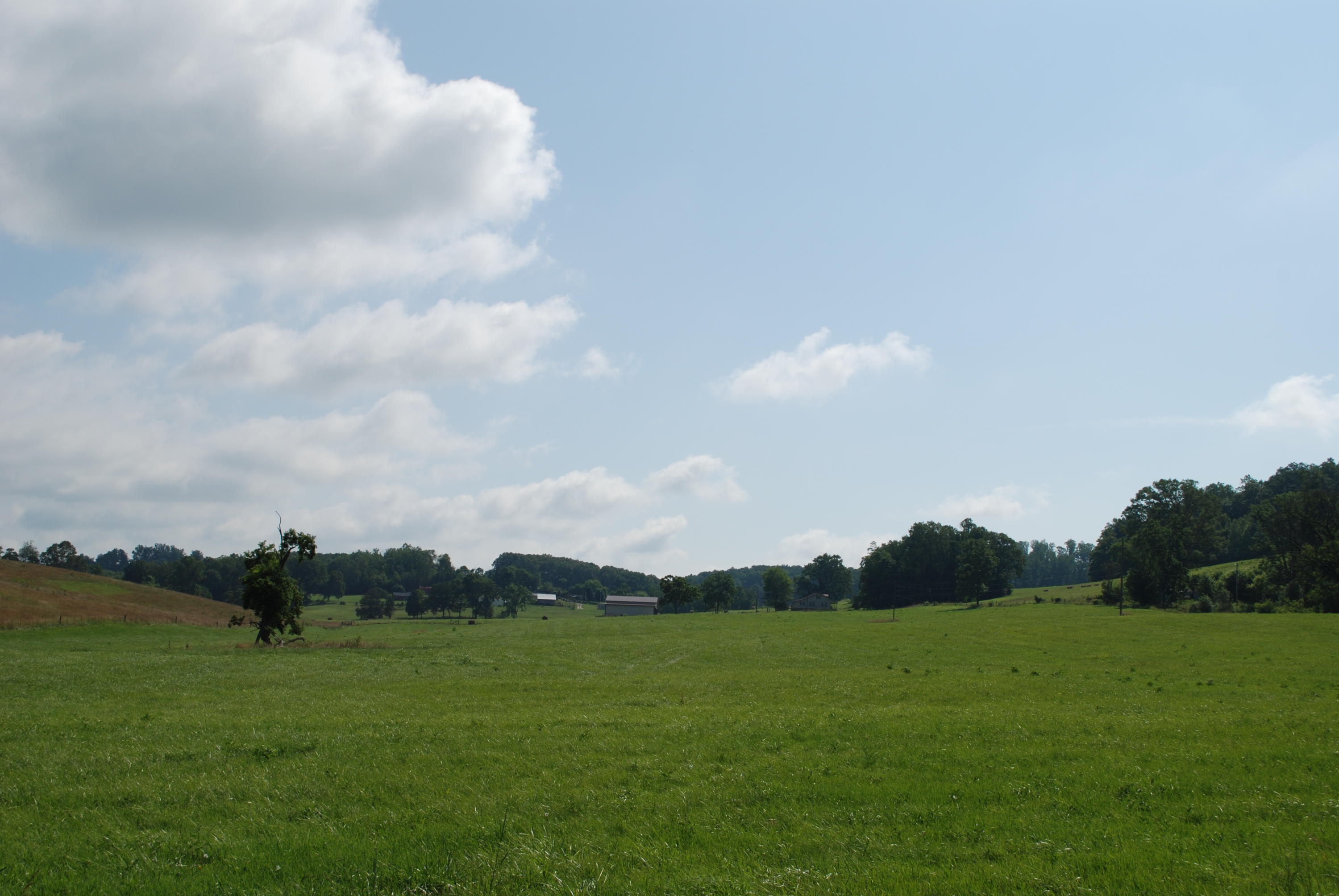 Roach Road Rutledge, TN 37861 - Photo 11 of 18 DSC_0042