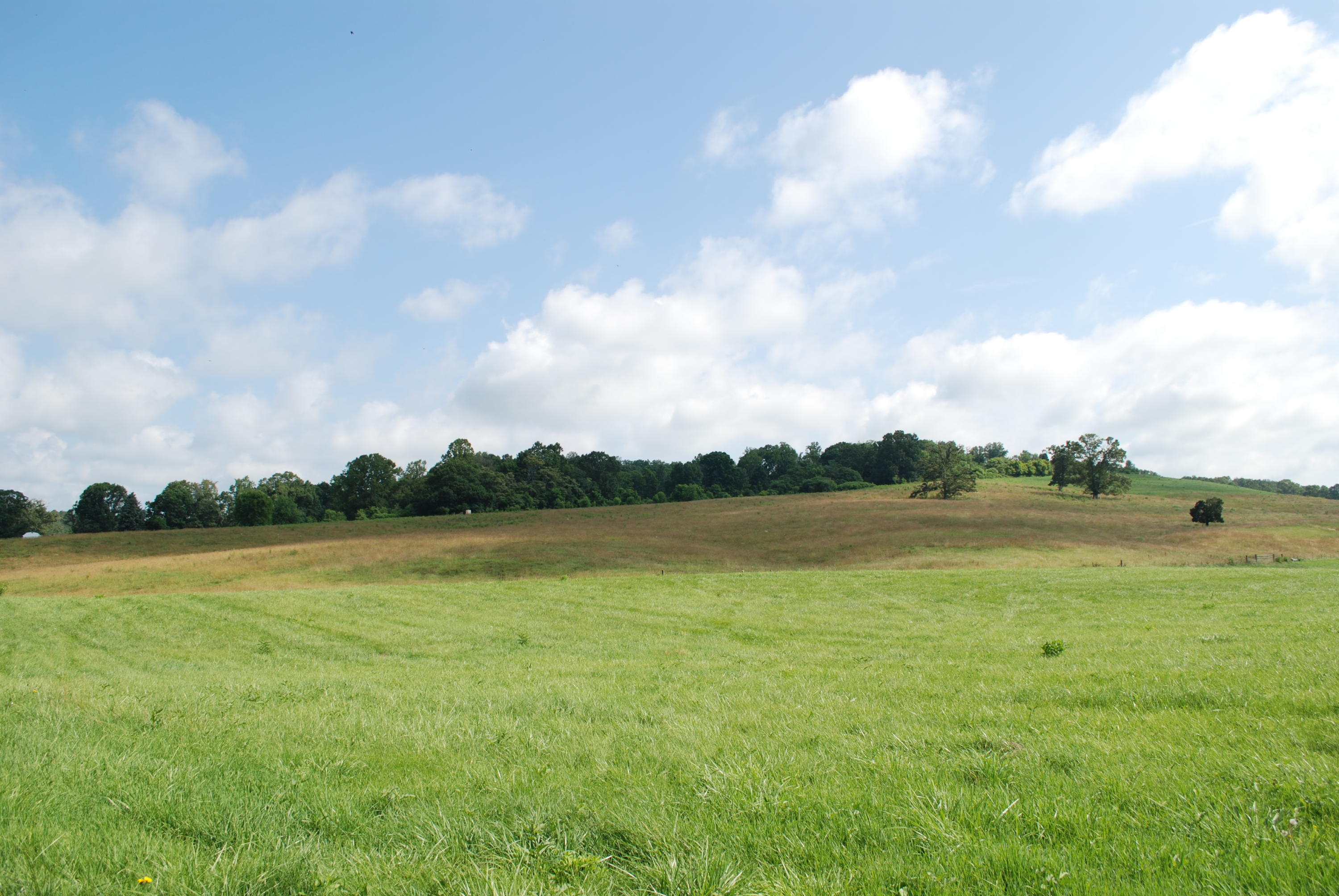 Roach Road Rutledge, TN 37861 - Photo 12 of 18 DSC_0044