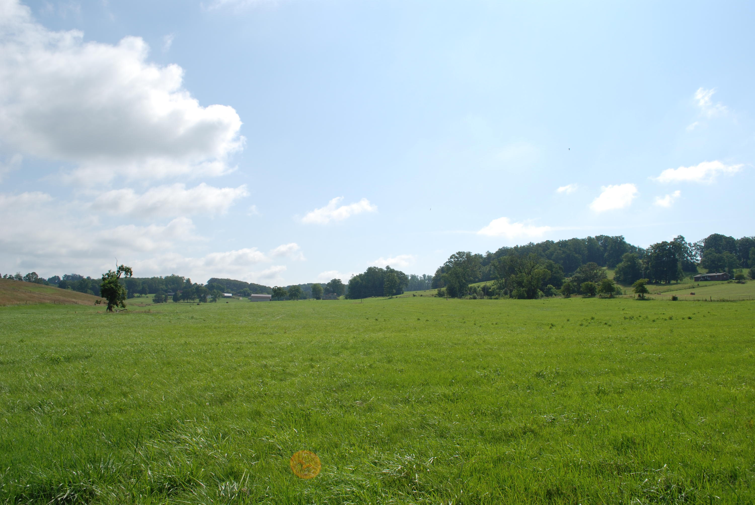 Roach Road Rutledge, TN 37861 - Photo 13 of 18 DSC_0045