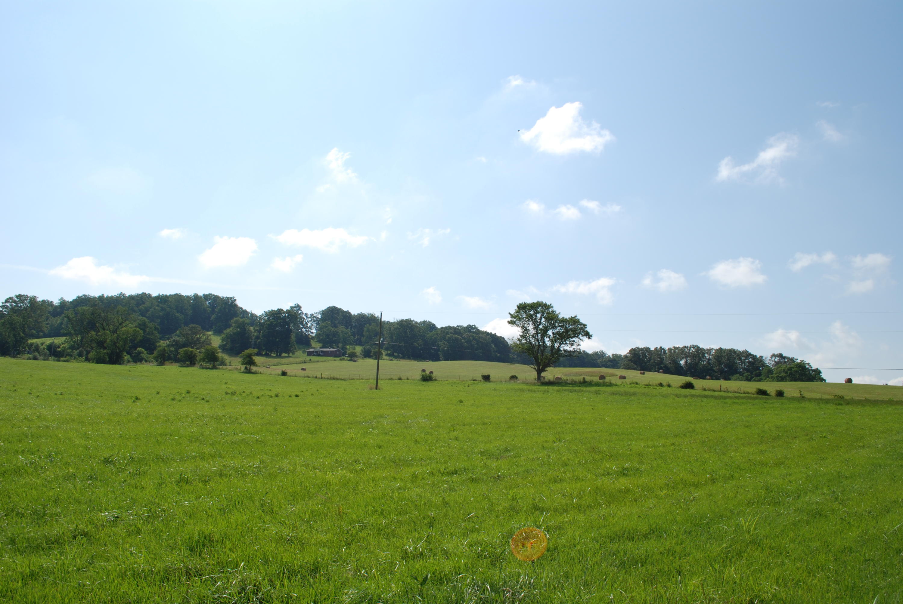 Roach Road Rutledge, TN 37861 - Photo 14 of 18 DSC_0046