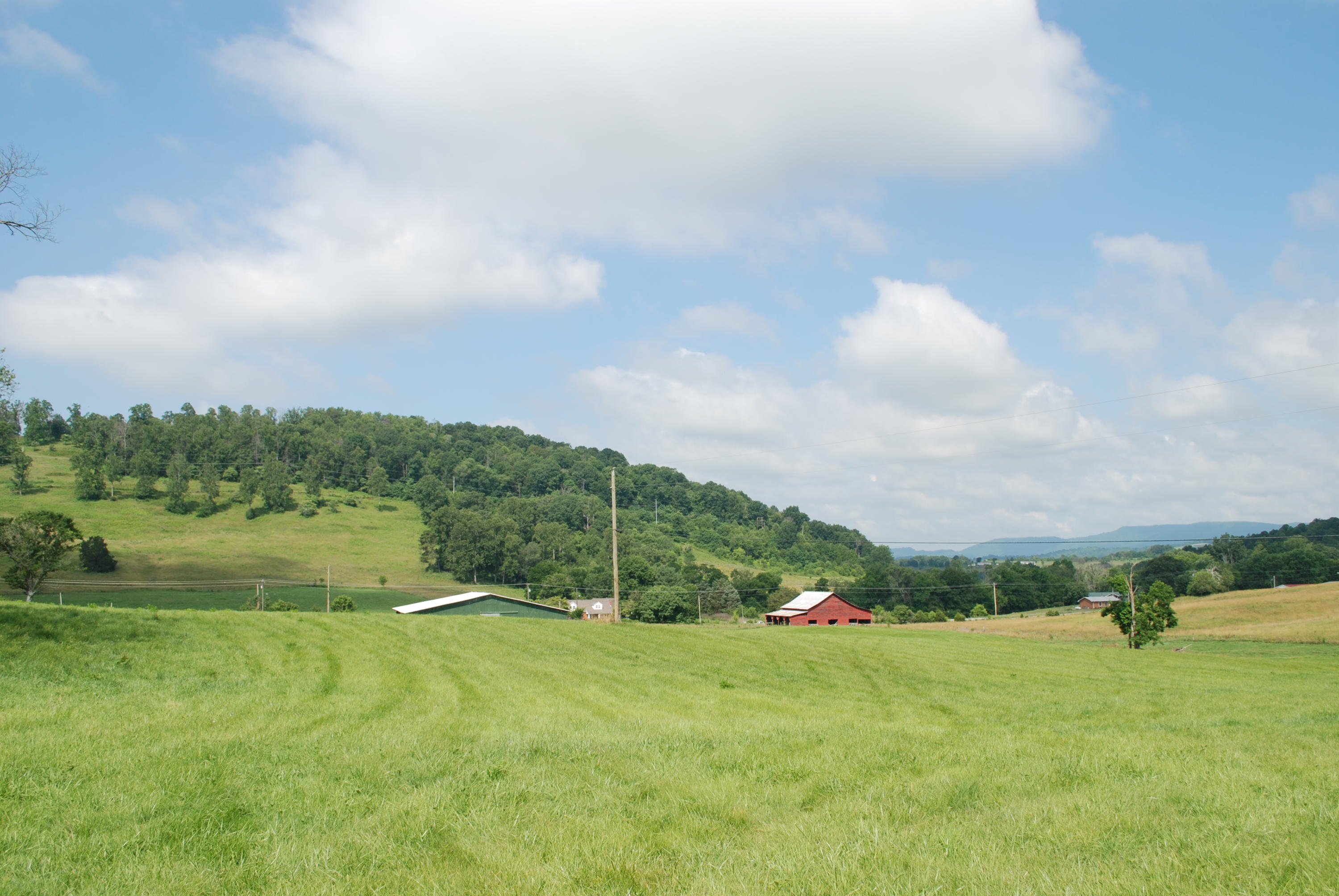 Roach Road Rutledge, TN 37861 - Photo 15 of 18 DSC_0051