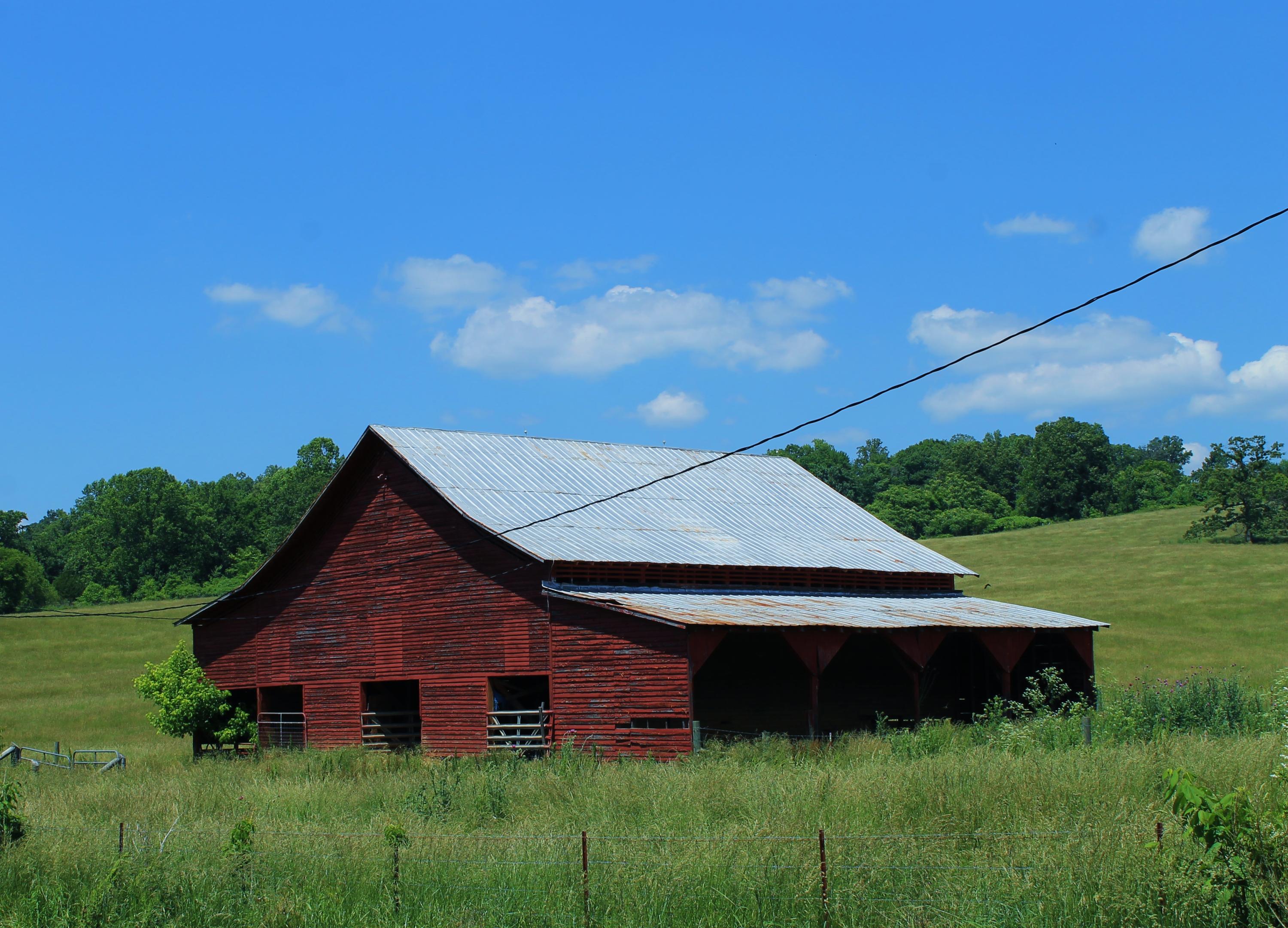 Roach Road Rutledge, TN 37861 - Photo 16 of 18 IMG_2241