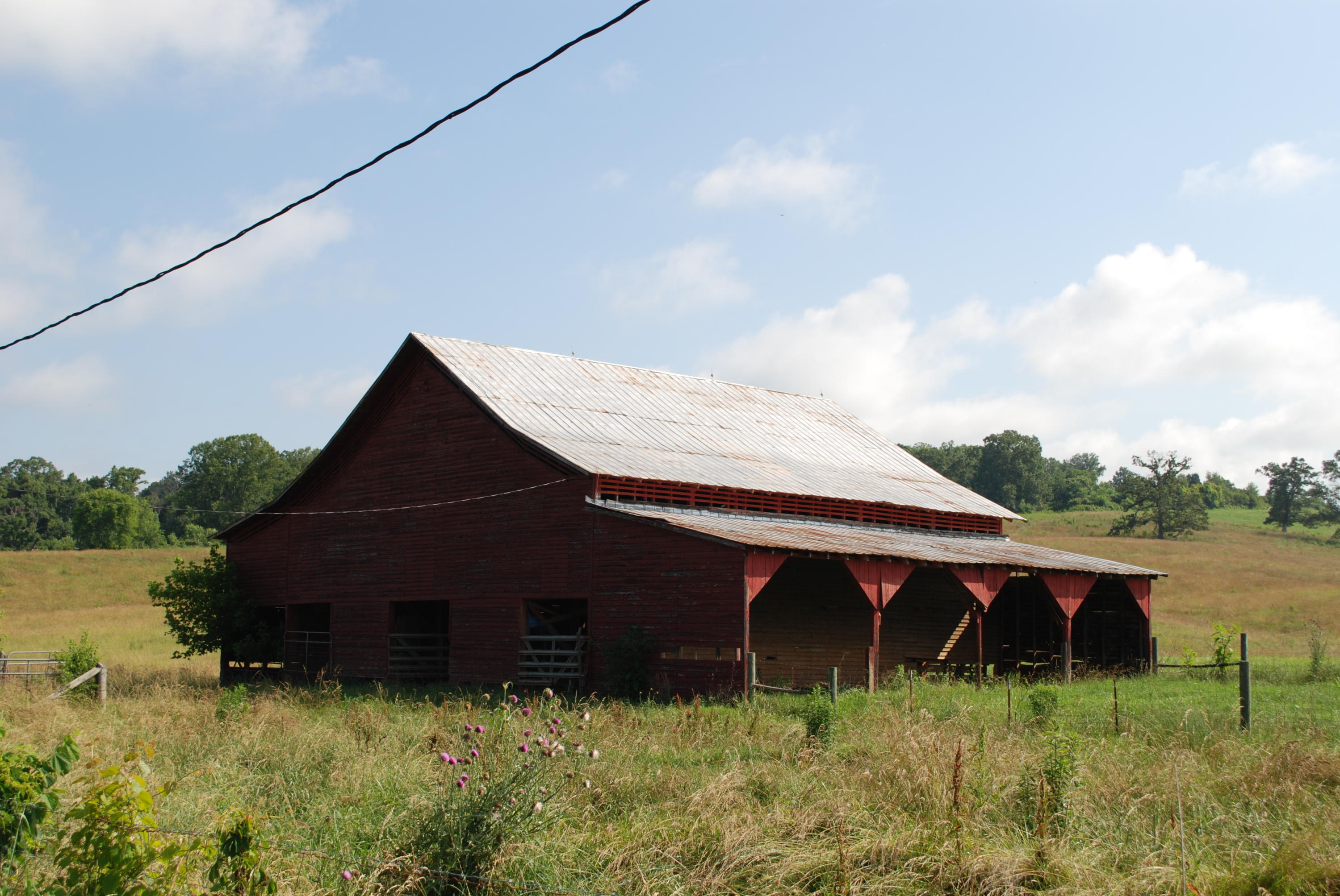 Roach Road Rutledge, TN 37861 - Photo 3 of 18 DSC_0036