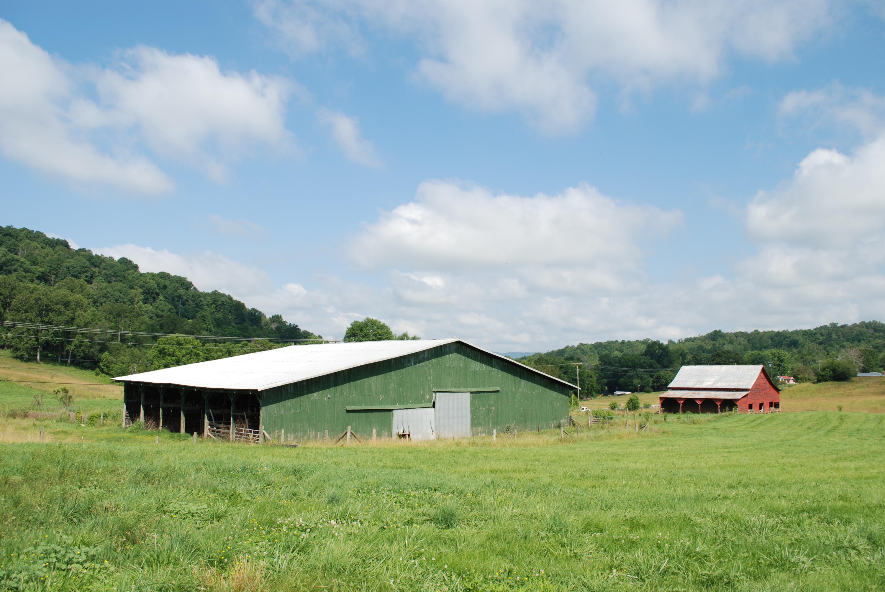 Roach Road Rutledge, TN 37861 - Photo 4 of 18 DSC_0050