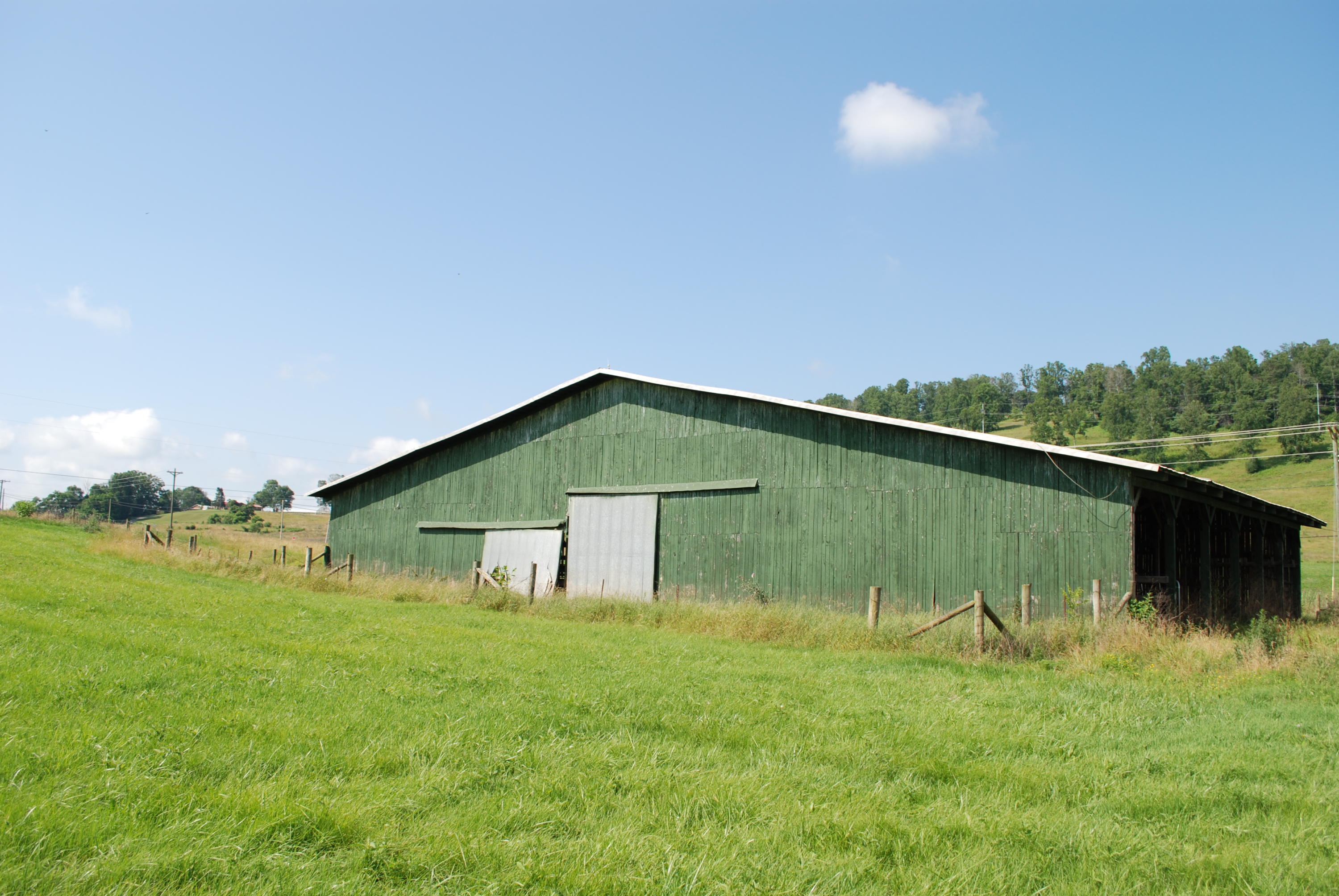 Roach Road Rutledge, TN 37861 - Photo 5 of 18 DSC_0047
