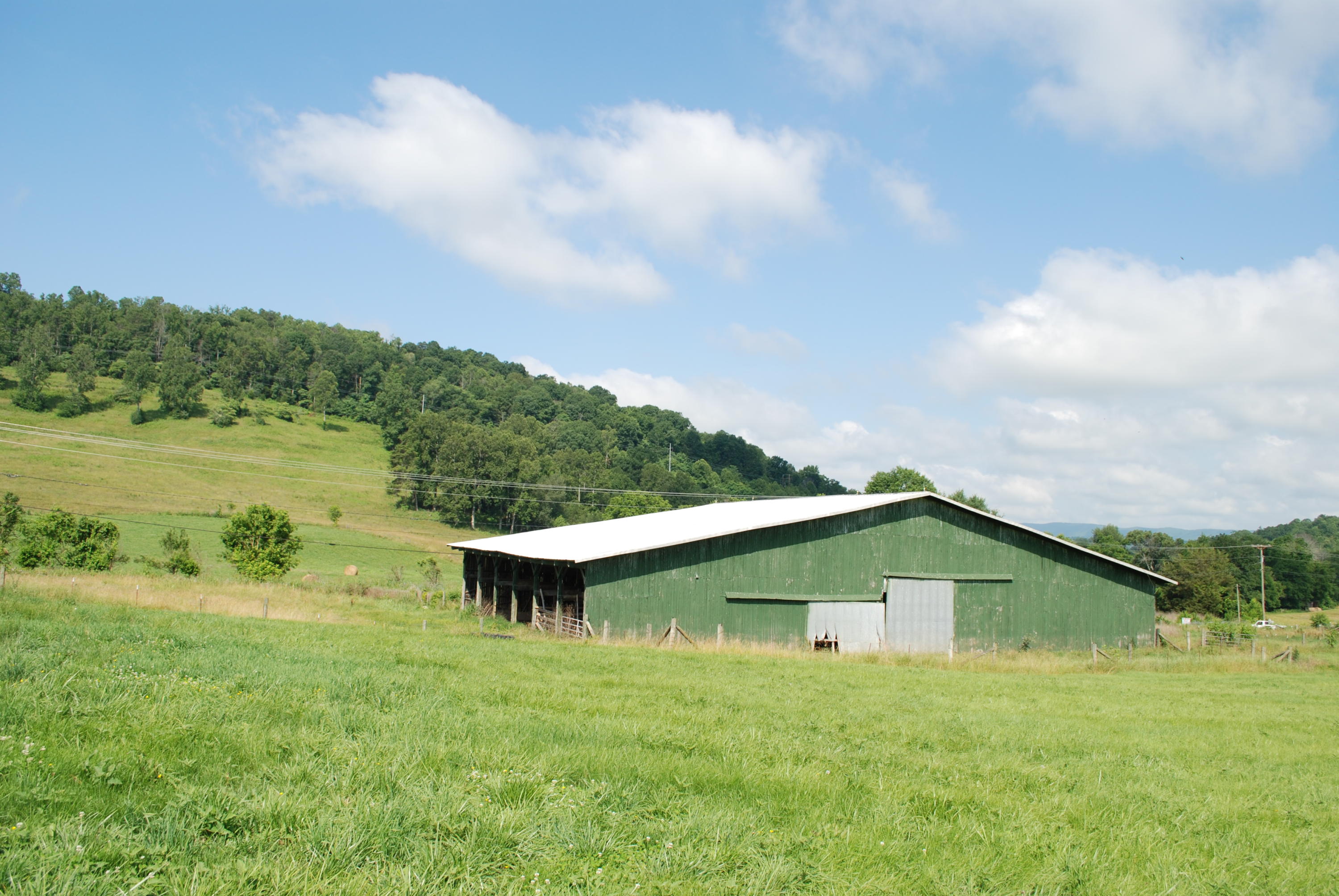 Roach Road Rutledge, TN 37861 - Photo 6 of 18 DSC_0049
