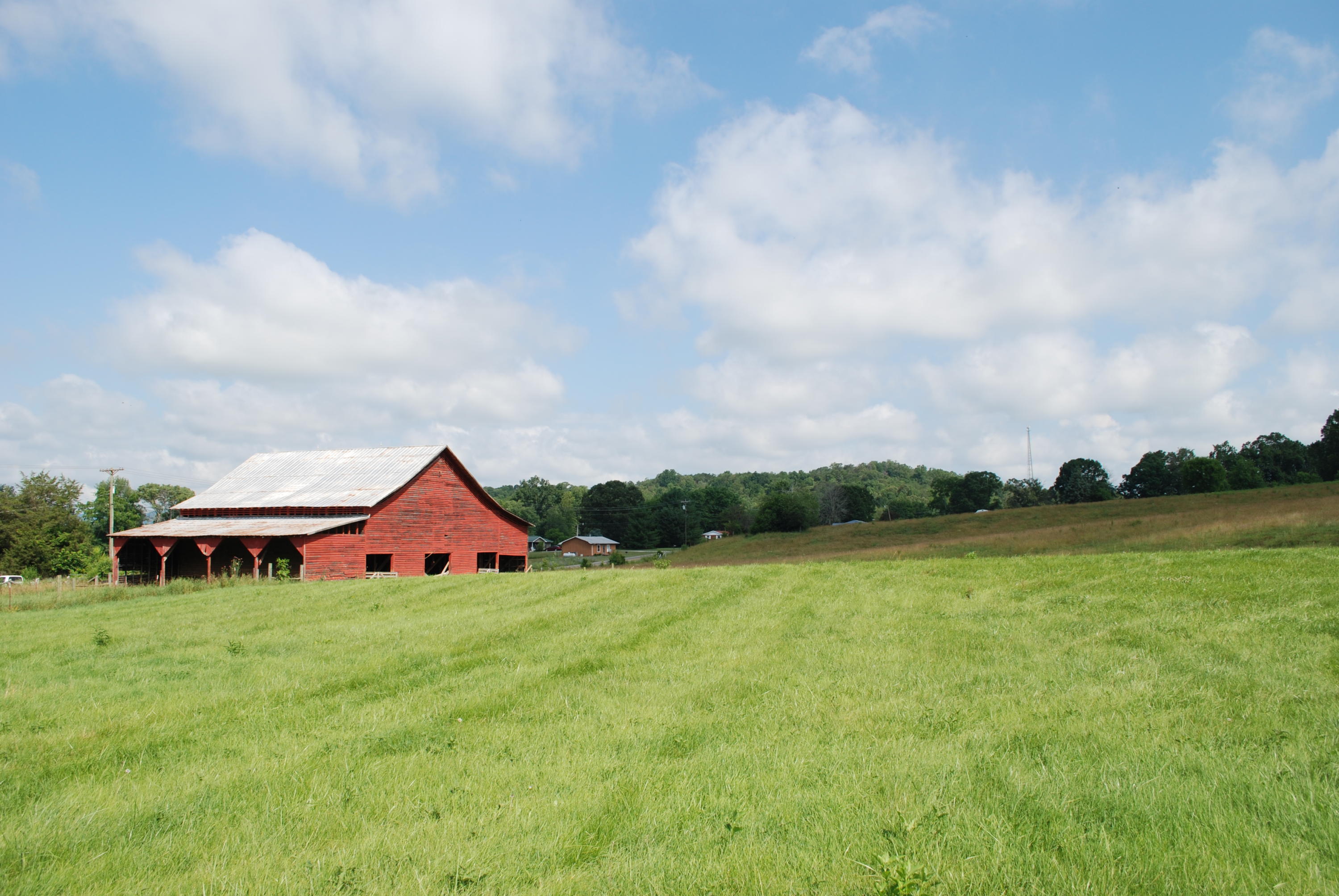 Roach Road Rutledge, TN 37861 - Photo 7 of 18 DSC_0048