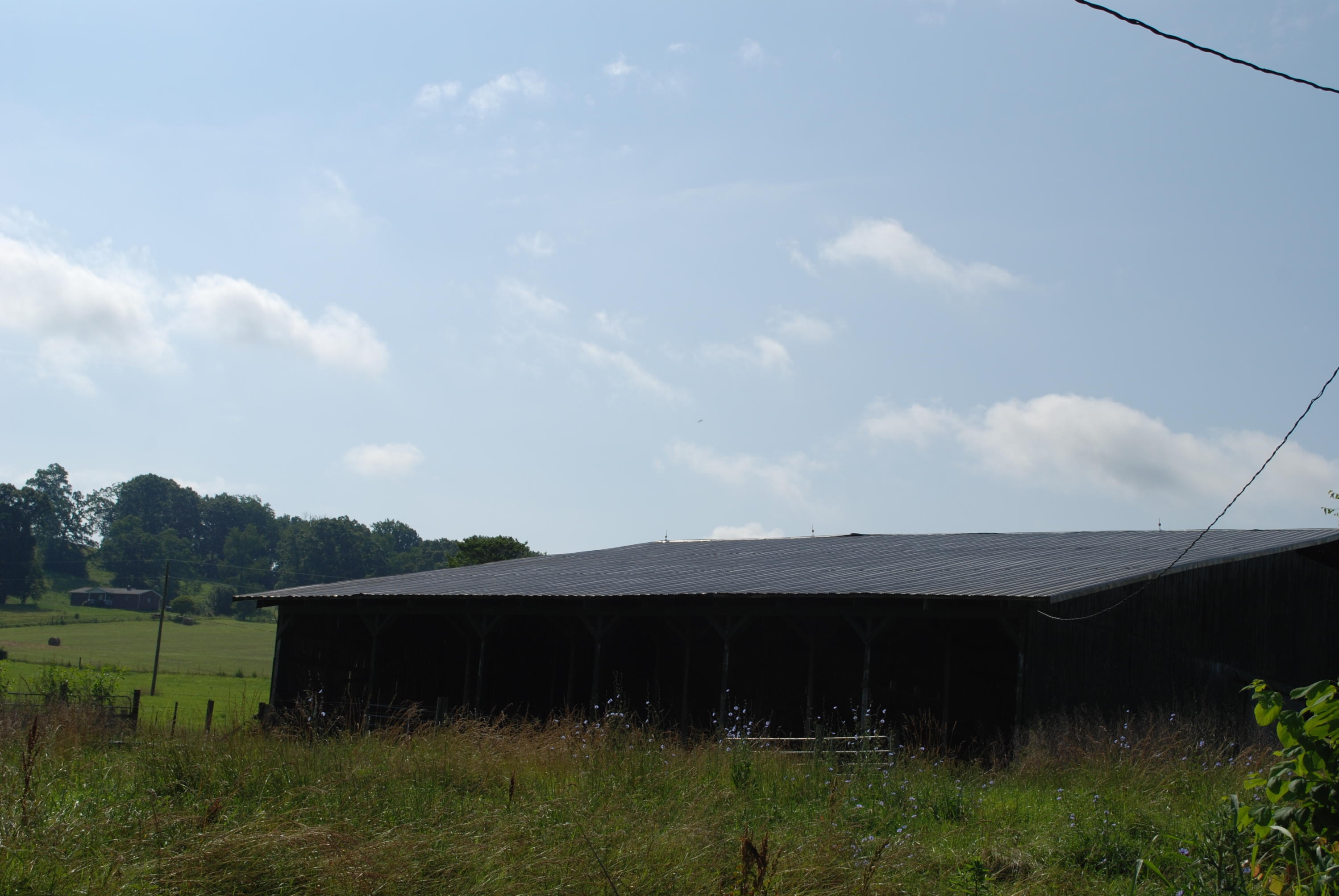 Roach Road Rutledge, TN 37861 - Photo 8 of 18 DSC_0037