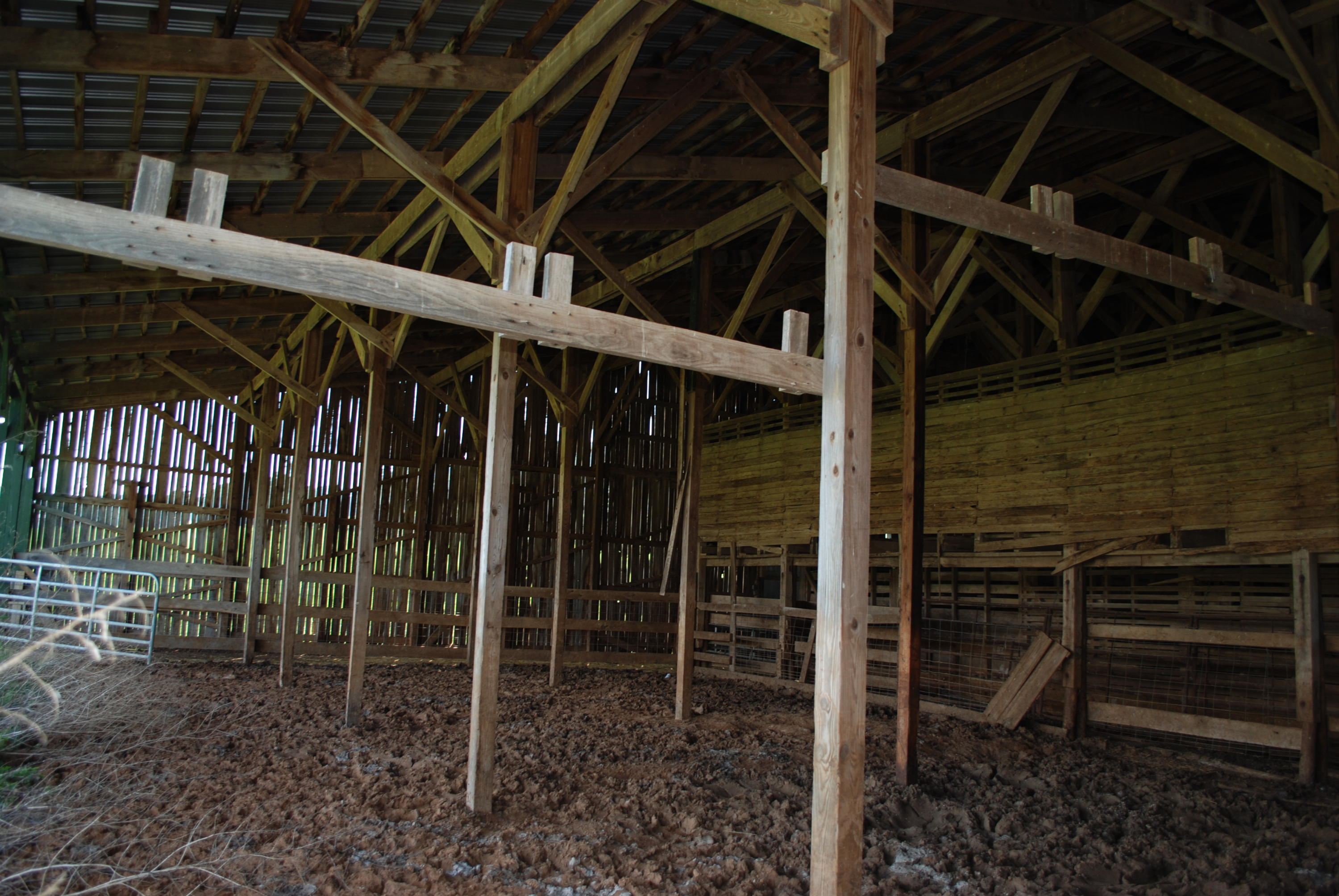 Roach Road Rutledge, TN 37861 - Photo 10 of 18 DSC_0041