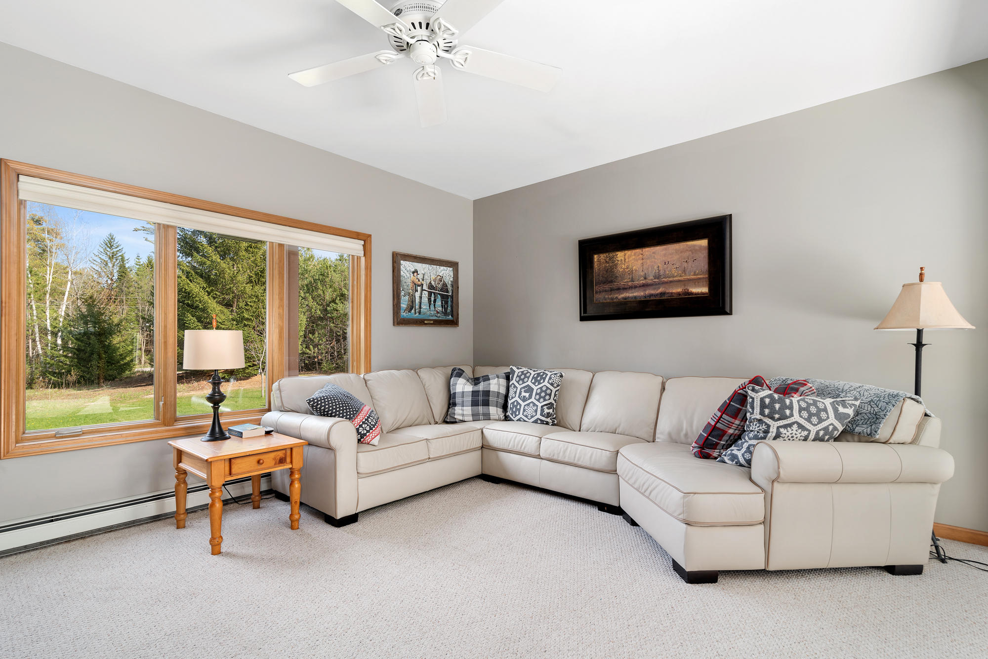 1266 Ellinger Road Alanson, MI 49706 - Photo 7 of 19 Gallery Image 7