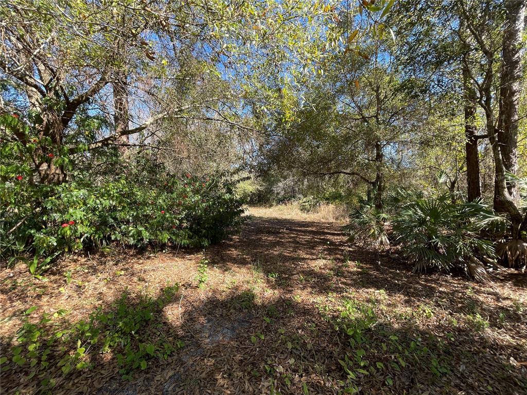 9275 Lincoln Road St. Cloud, FL 34773 - Photo 5 of 17