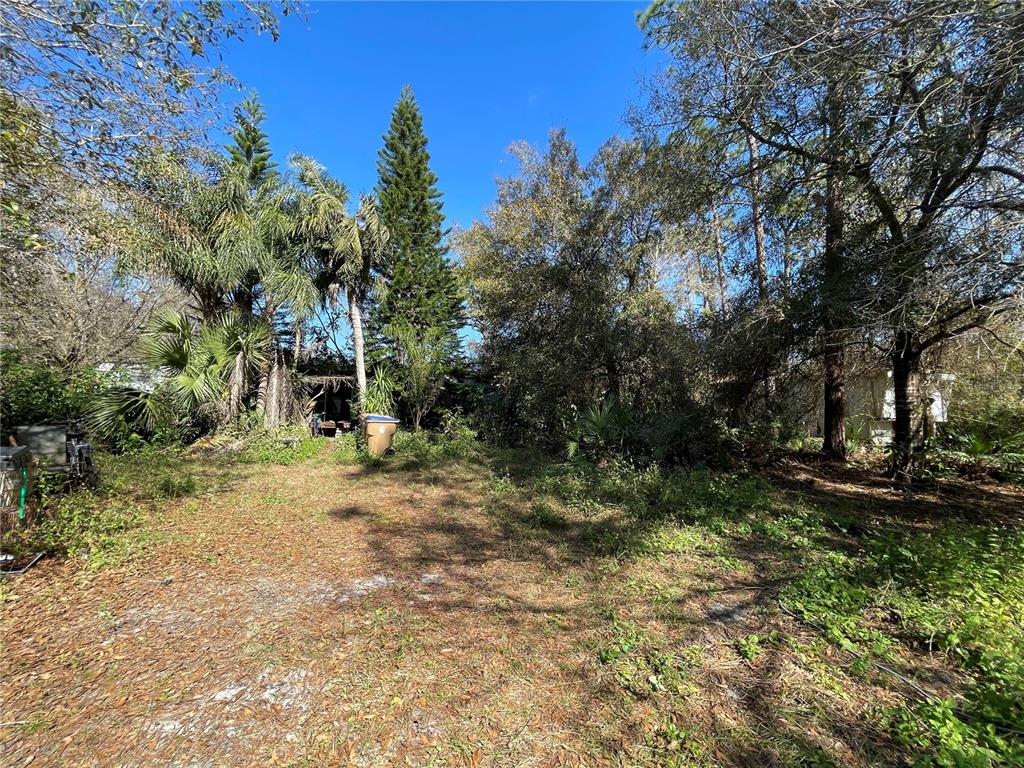 9275 Lincoln Road St. Cloud, FL 34773 - Photo 6 of 17