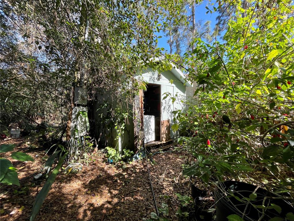 9275 Lincoln Road St. Cloud, FL 34773 - Photo 9 of 17