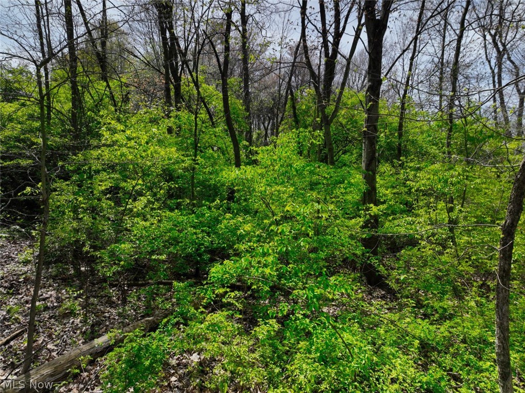 0 Terrace Ridge Circle Howard, OH 43028 - Photo 11 of 23 View of mother earth's splendor