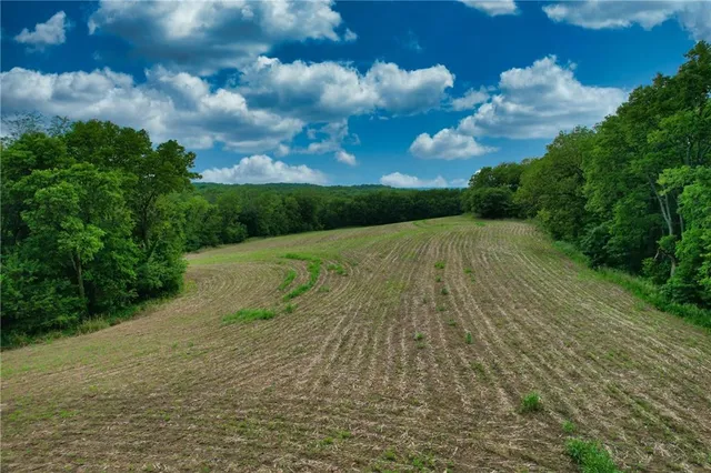 $650,000 | Brown Road, Rushville, MO 64484