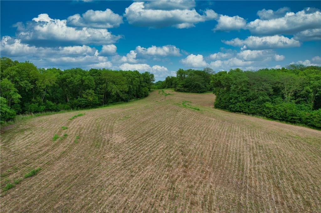 Brown Road Rushville, MO 64484 - Photo 12 of 16