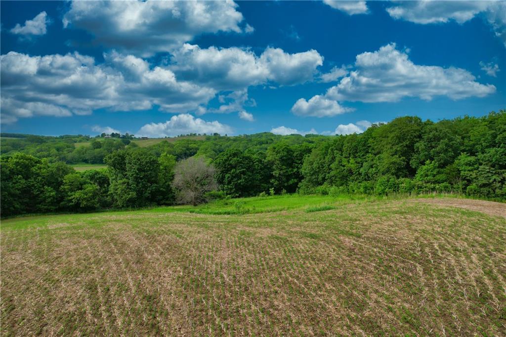 Brown Road Rushville, MO 64484 - Photo 14 of 16