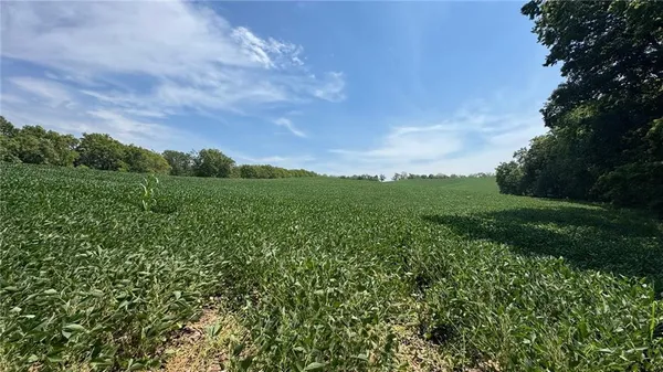 $650,000 | Brown Road, Rushville, MO 64484