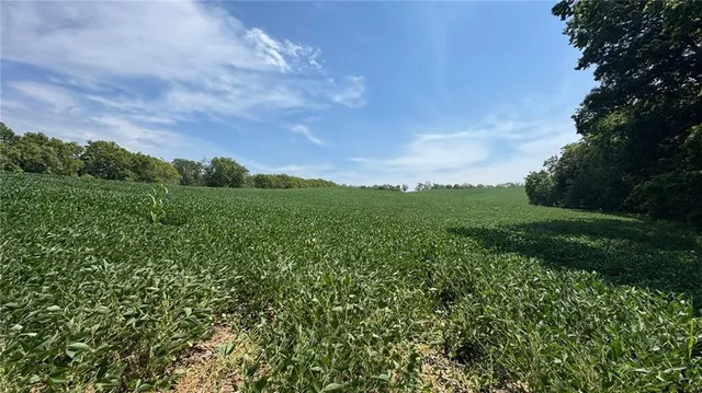 $650,000 | Brown Road, Rushville, MO 64484