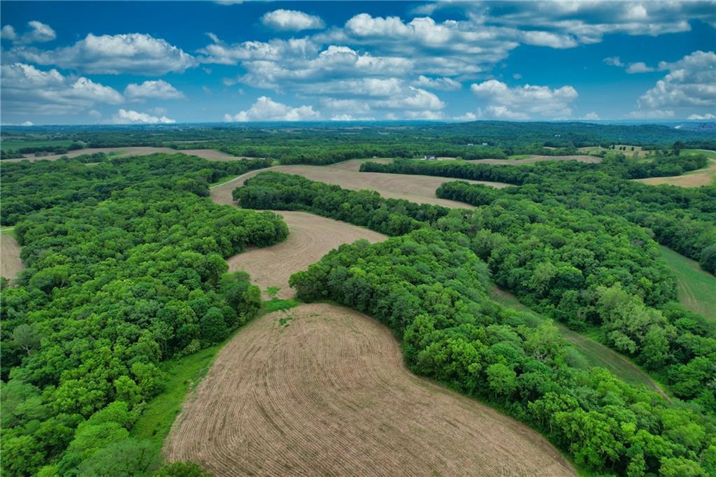 Brown Road Rushville, MO 64484 - Photo 3 of 16