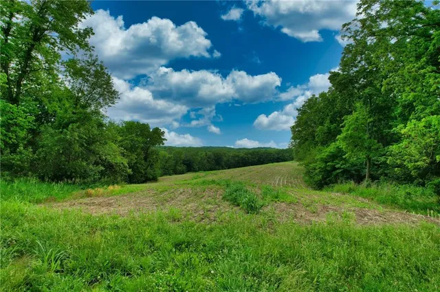 $650,000 | Brown Road, Rushville, MO 64484