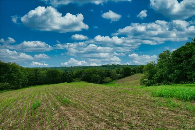 $650,000 | Brown Road, Rushville, MO 64484